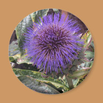Thistle round magnet magnets