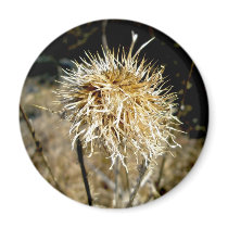 Thistle Seedhead Magnet