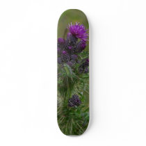 Thistle skateboards