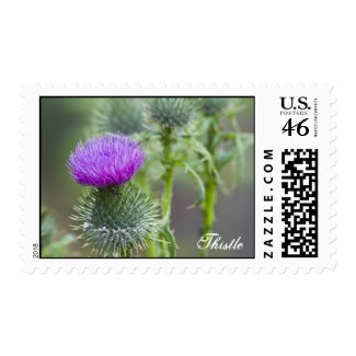 Thistle Stamp