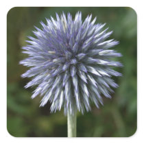 Thistle Sticker