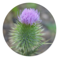 thistle stickers