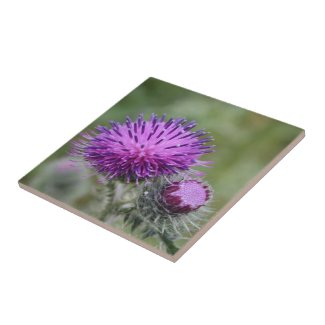 Thistle tile