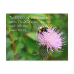 Thistle Wildflower Postcard
