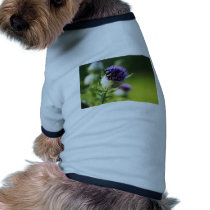 Thistle With A Small Bumblebee pet clothing