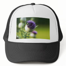Thistle With A Small Bumblebee hats