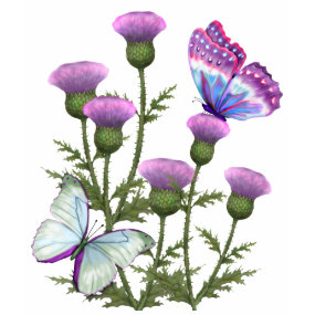 Thistles and Butterflies shirt