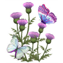 Thistles and Butterflies t-shirts