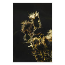 Thistle's at sunset customized stationery