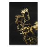 Thistle's at sunset customized stationery