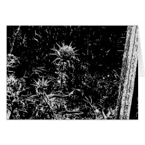 thistles cards