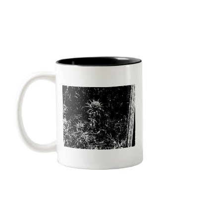 thistles mugs by sumiko