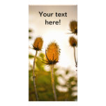 Thistles Customized Photo Card