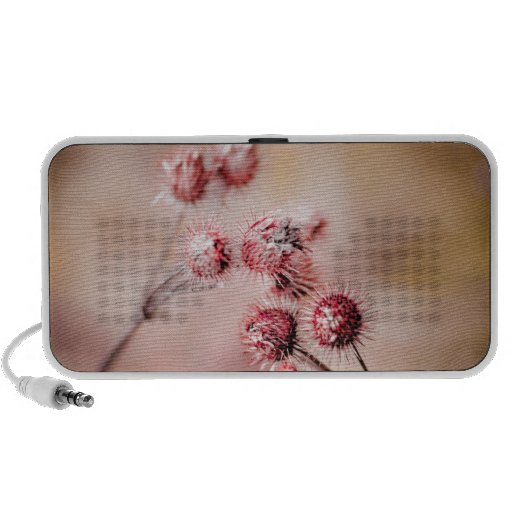 Thistles Travel Speaker