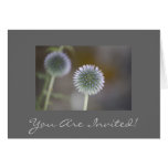 Thistly You Are Invited Card