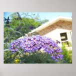Thom Tim Poster
