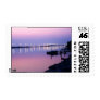 Thomas Edison Memorial Bridge Stamps