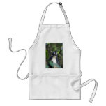Thomas leaf monkey Gunung Leuser National Park Apron