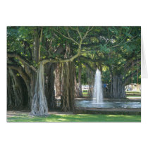 Thomas Square Banyans Card