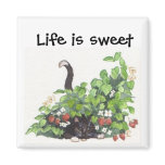 Thome in the strawberries magnets