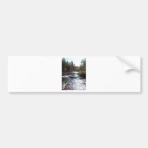 thompson rapids 029.JPG Bumper Sticker