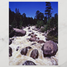 Thompson River - Rocky Mountain National Park Full Color Flyer