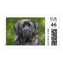Thor Stamp