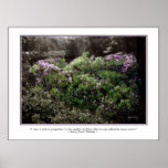 Thoreau Quote Poster - Sheep Laurel