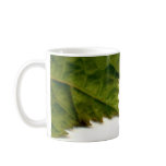 Thoreau's Nature mugs