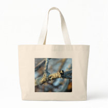 Thorn bags