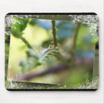 Thorn Dreams Mousepad by webgrrl Thorn Dreams Mousepad