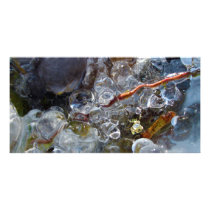 Thorn in Round Bubbles of Ice from Freezing Rain Photo Card Template