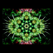 thornia Poster posters