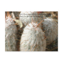 Thorns Post Card