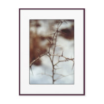 Thorns postcards