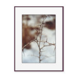 Thorns postcards