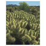 Thorny  Beauty flyers