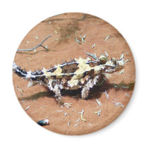 Thorny Devil Lizard magnets