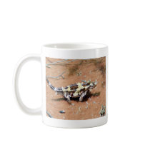 Thorny Devil Lizard mugs by sharonsphotography Thorny Devil Lizard mugs