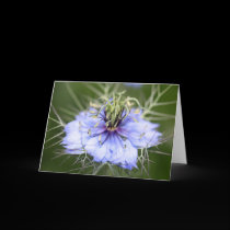 Thorny Love Flower cards
