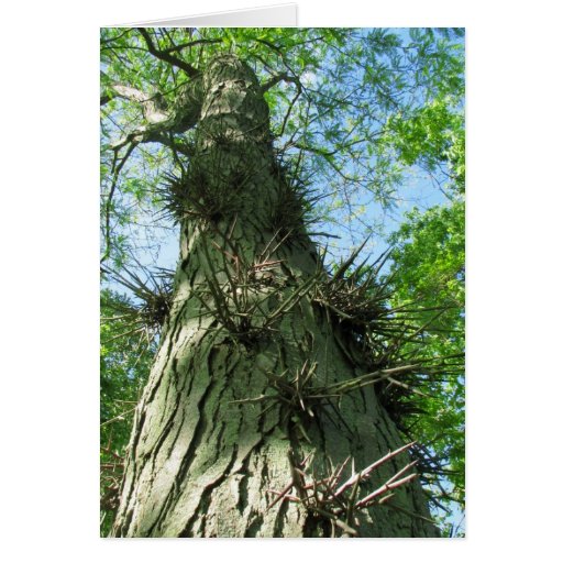 Thorny Tree Encouragement Card