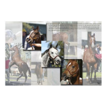 Thoroughbred Defined posters