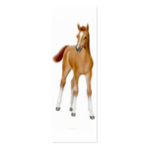 Thoroughbred Foal Bookmark Business Card Template