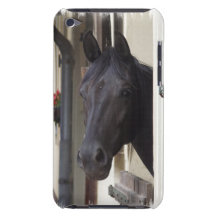 Thoroughbred Friesian Cross iTouch Case iPod Case-Mate Case