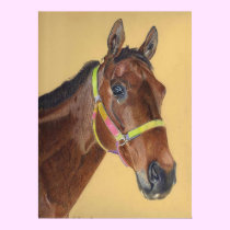 Thoroughbred Horse Art Print & Posters posters