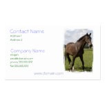 Thoroughbred Horse Business Card