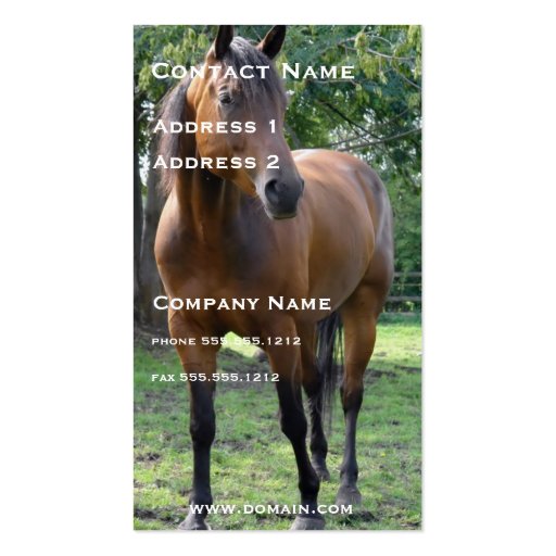 Thoroughbred Horse Business Card (front side)