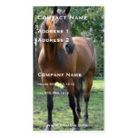 Thoroughbred Horse Business Card