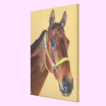 Thoroughbred Horse Canvas Art canvas prints