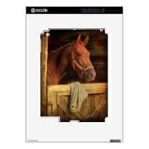 Thoroughbred Horse Decals For The iPad 2
